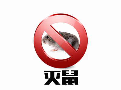 灭鼠服务
